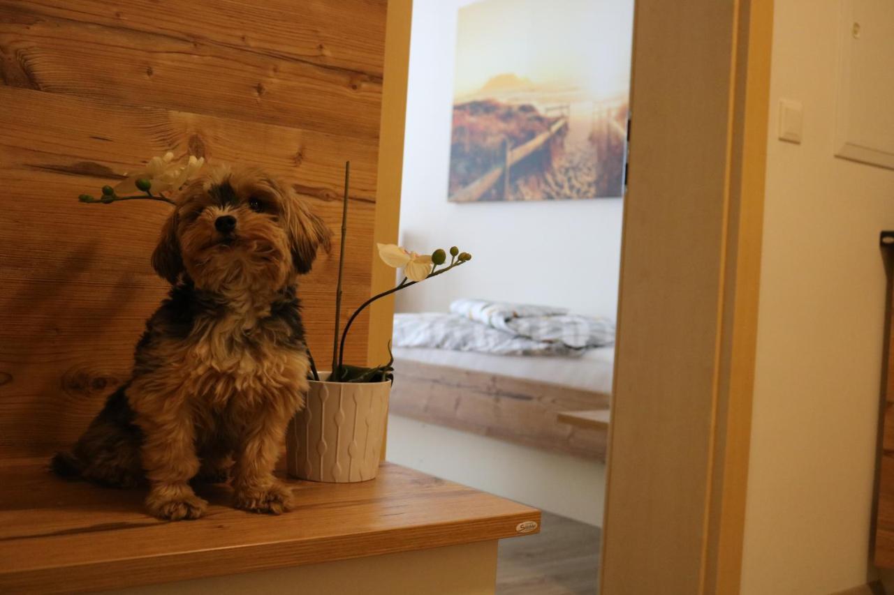Zirben Diamant Rooms & Dogs Obdach Εξωτερικό φωτογραφία